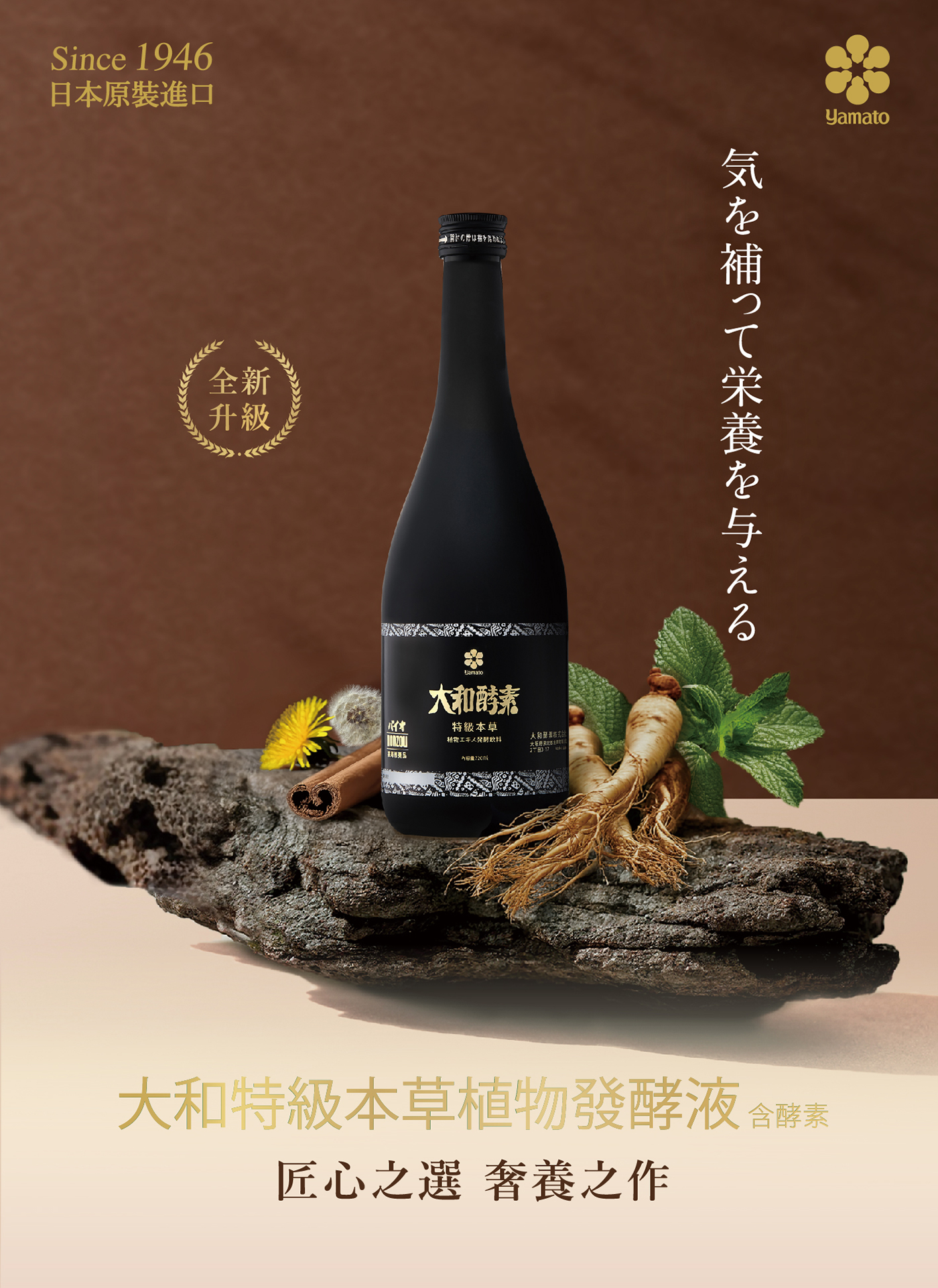 大和特本